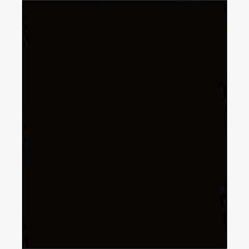 Alex Fon Kartonu Artist 50x70 Cm 220 Gr Füme