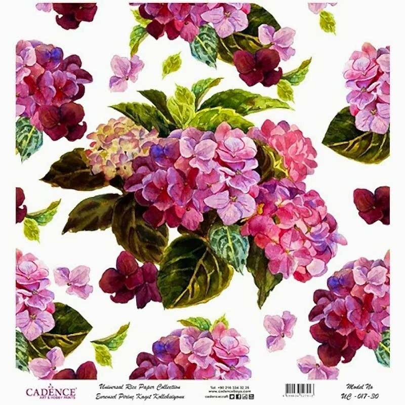 Cadence Evrensel Pirinç Kağıt Koleksiyon Beyaz Zemin Uc-017 30x30