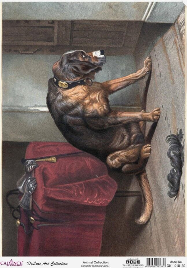 Cadence Dostlar Koleksiyon Dk-18 30x42 Cm