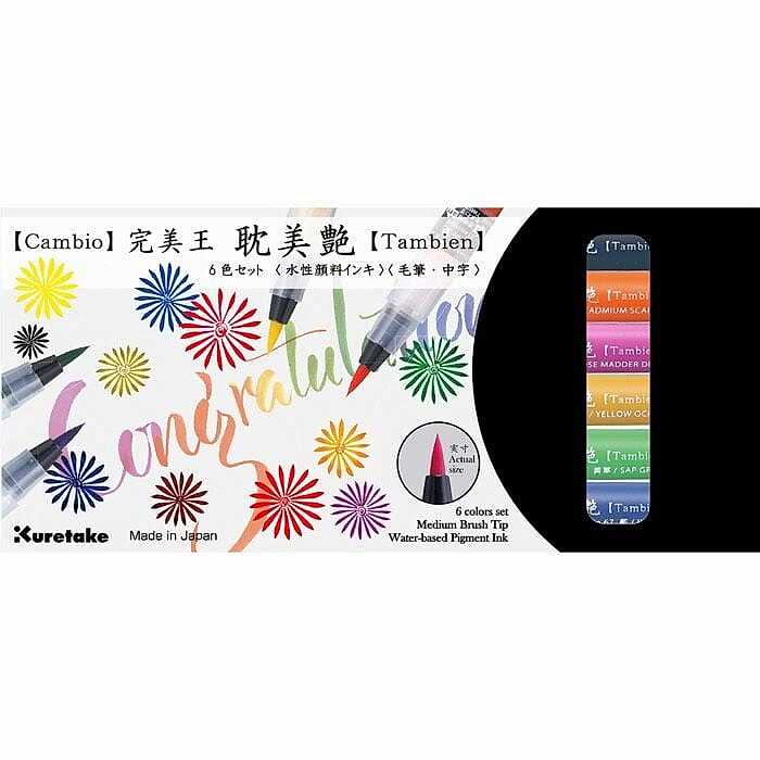 Zig Cambıo Tambıen Pen 6 Lı Set X050T/6Vb