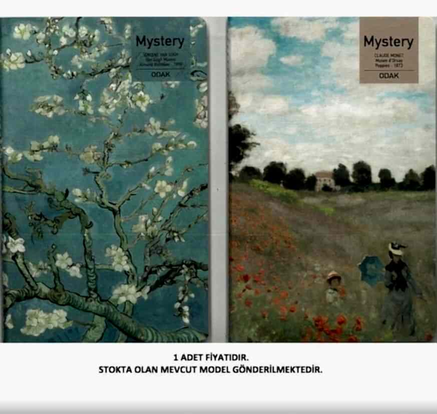 Odak Yayın Mysrety 13x21 56 Yp Çizgisiz Defter