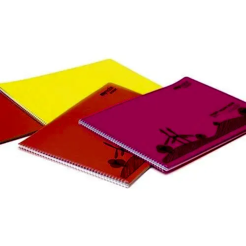 Mynote Flex Pp Resim Blok 35x50 Cm 30 Yaprak