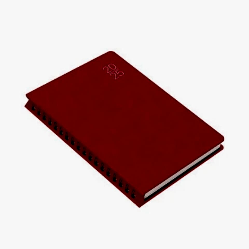 Gıpta 209-Fsk Fox Diary 17x24 Günlük Ajanda