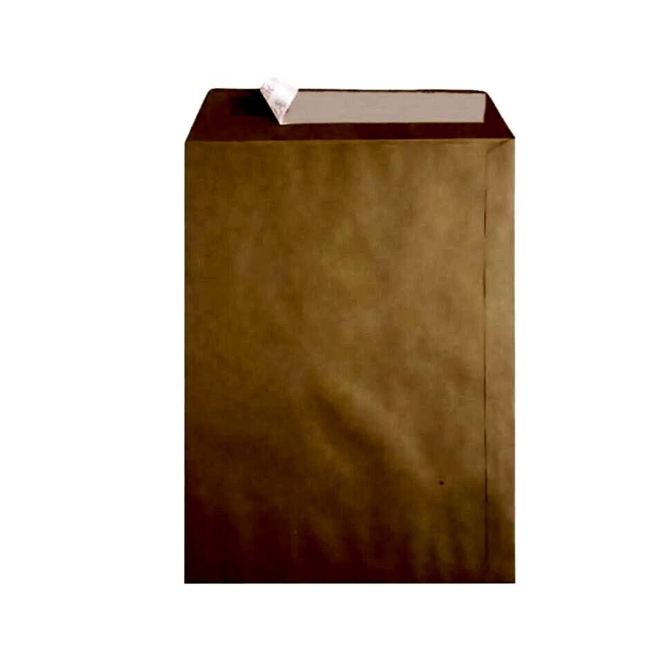 Oyal Torba Zarf 24x32 Natura 100 Gr 250 Li