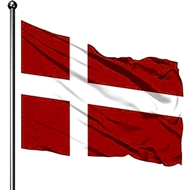 Buket 70x105 Cm Danimarka Bayrağı