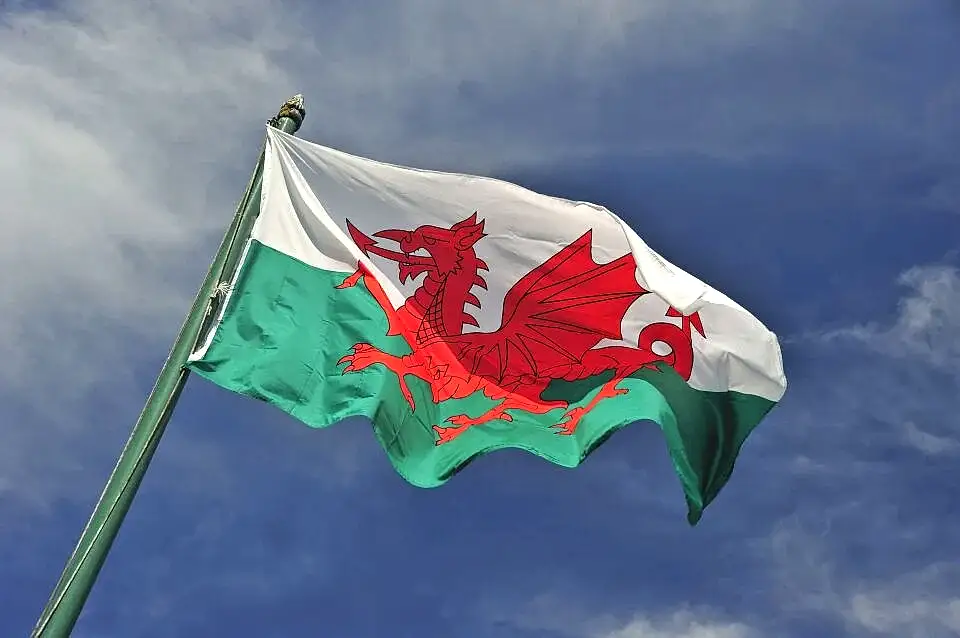 Buket 70x105 Cm Galler Bayrağı