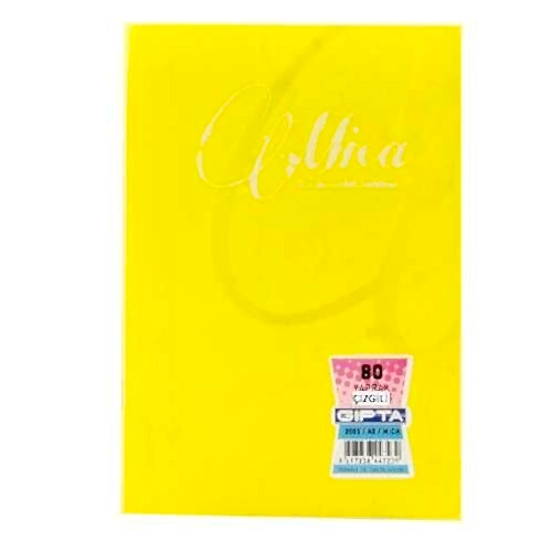 Gıpta Mıca Tel Dikişli Pp Kapak Defter A5 80 Yp Çizgili