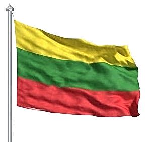 Buket 70x105 Cm Litvanya Bayrağı