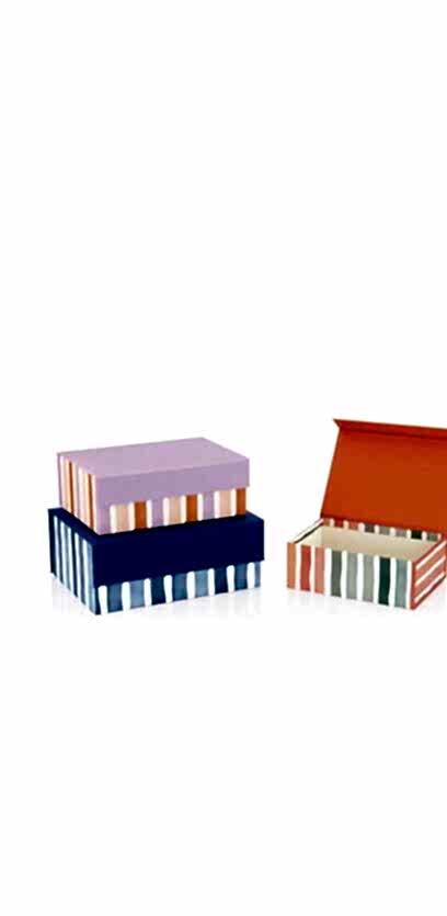 Gıpta Focus Magnet Kutu 01