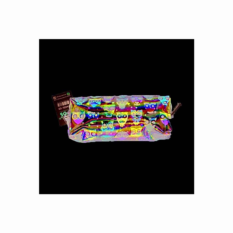 Taros Fancy Statıonery Kalemkutu Baykuş