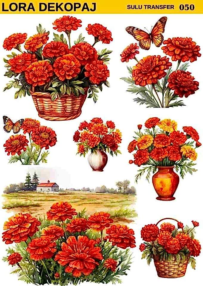 Lora s050 Sulu Transfer