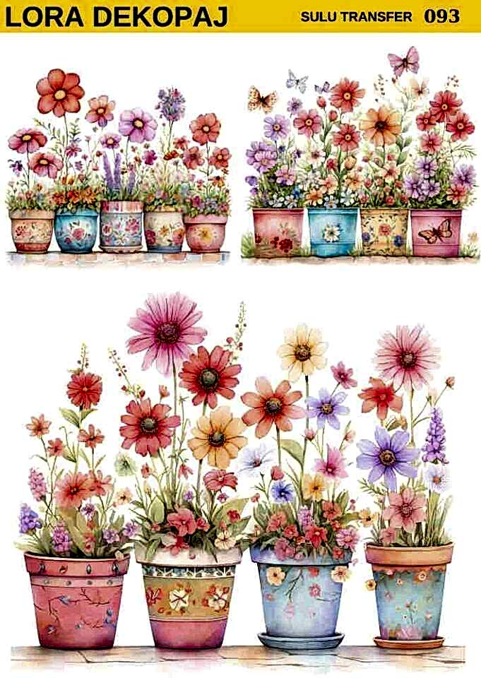 Lora s093 Sulu Transfer