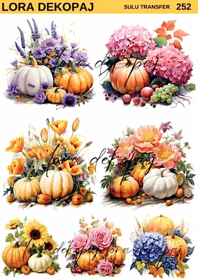 Lora s252 Sulu Transfer