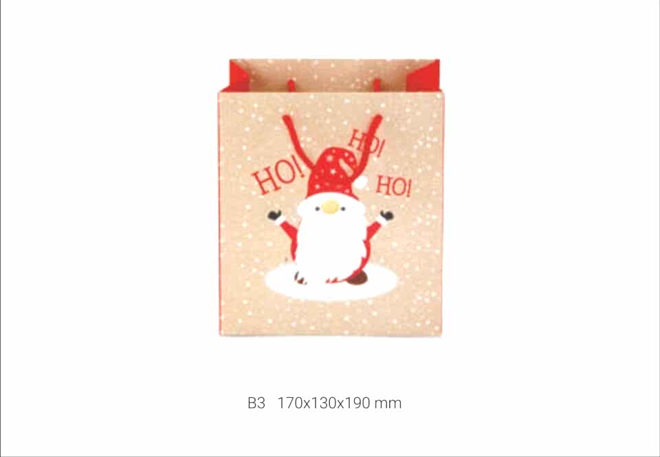 Gıpta Neve B3 Karton Çanta Seti