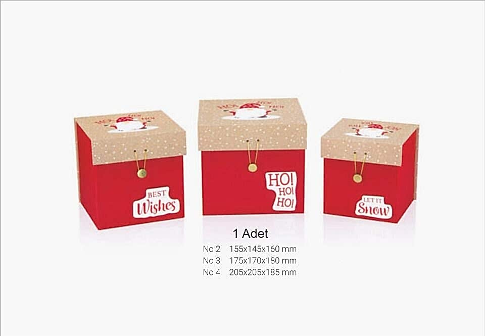 Gıpta Neve Dik Boy Kutu No 2