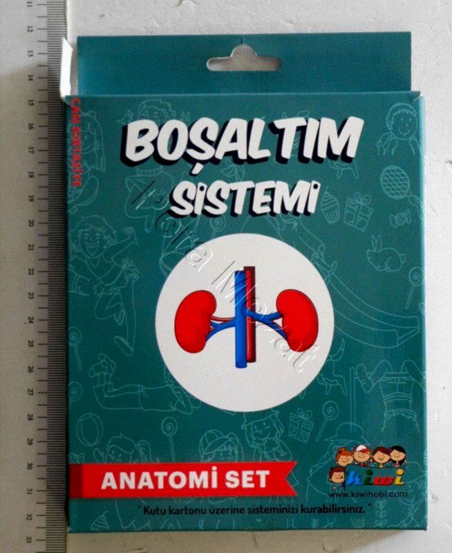 Kiwi Boşaltım Sistemi