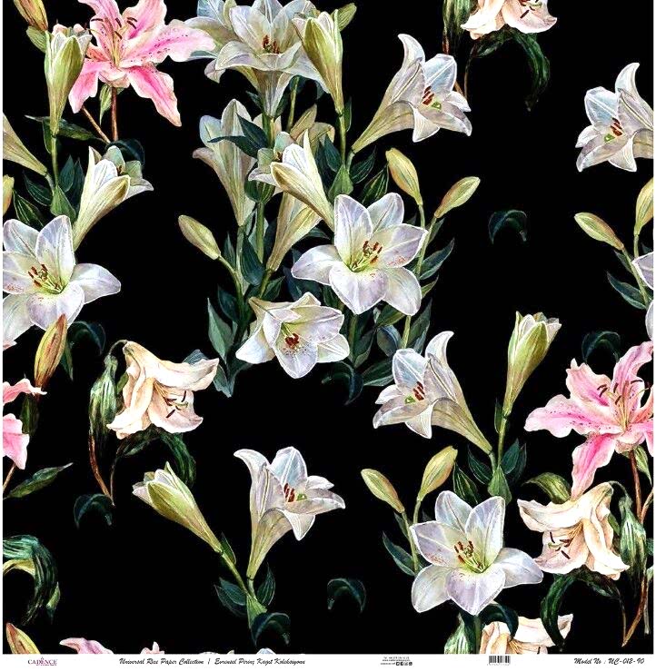 Cadence Evrensel Pirinç Kağıt Koleksiyon Siyah Zemin Uc-012 30x30