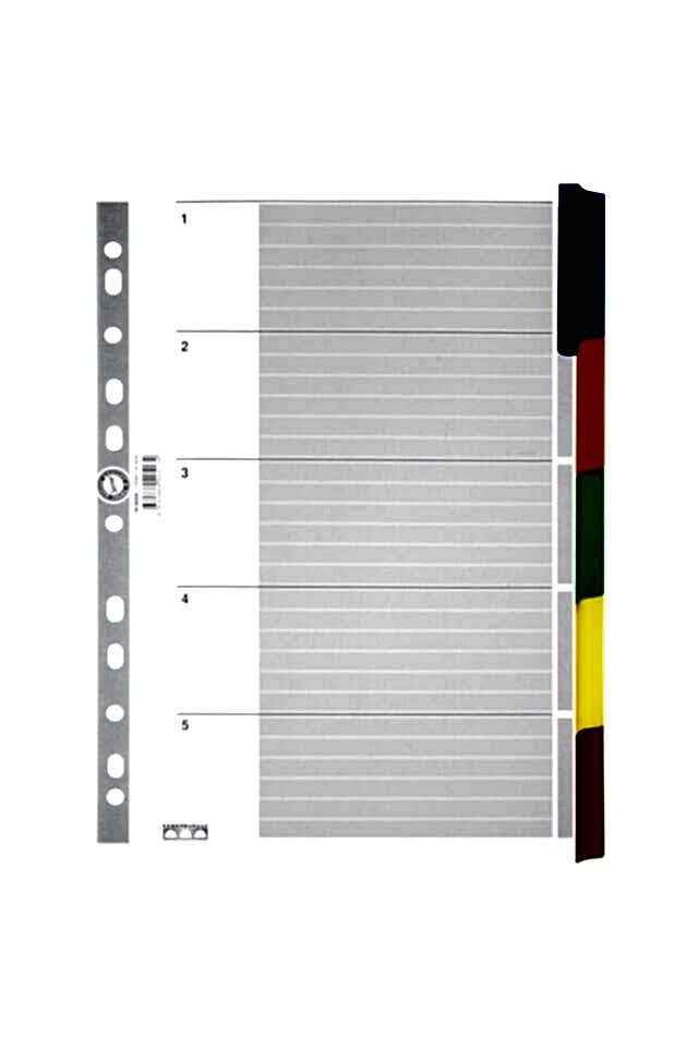 Serve Karton Ayraç Klasik 5 Renkli A5
