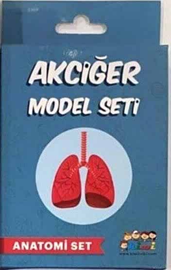 Kiwi Akciğer Deney Seti